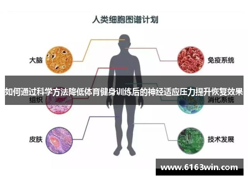 如何通过科学方法降低体育健身训练后的神经适应压力提升恢复效果